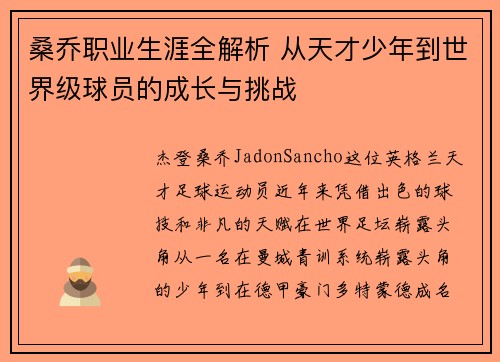 桑乔职业生涯全解析 从天才少年到世界级球员的成长与挑战